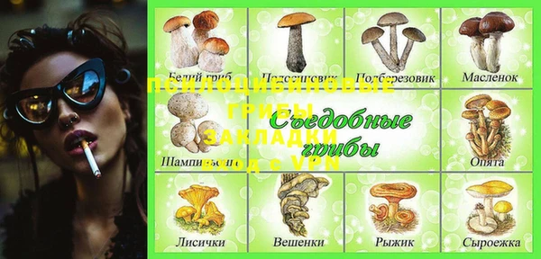 МДПВ Армянск